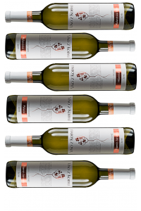 Víno z Kobylí Degustační sada vín I 